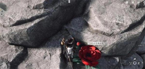 燕云十六声花中愿任务怎么完成4