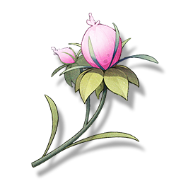 鸣潮崖仙子怎么获得2