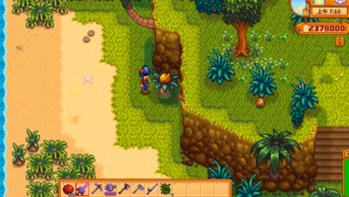 星露谷物语核桃怎么获得3