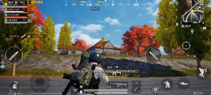 绝地求生枫树林在哪2