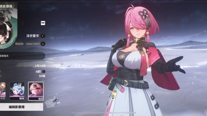 鸣潮桃祈怎么培养2