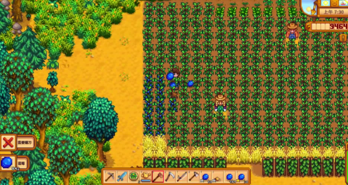 星露谷物语夏天怎么赚钱最快1