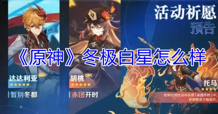 原神冬极白星怎么样1