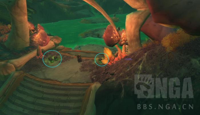 《魔兽世界》凋魂之殇炸药桶位置介绍7