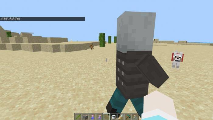 我的世界如何用指令生成一只卫道士2