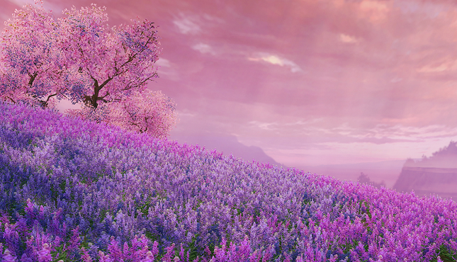 《新天龙八部》峨嵋副本血上限总结1