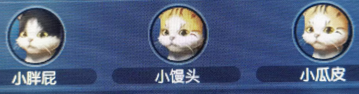 逆水寒大宋铲屎官宠物猫怎么获得2