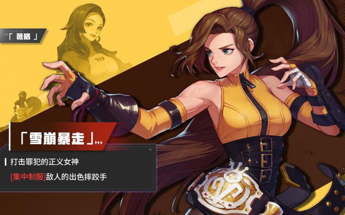 《超激斗梦境》薇格雪崩暴走转职介绍1