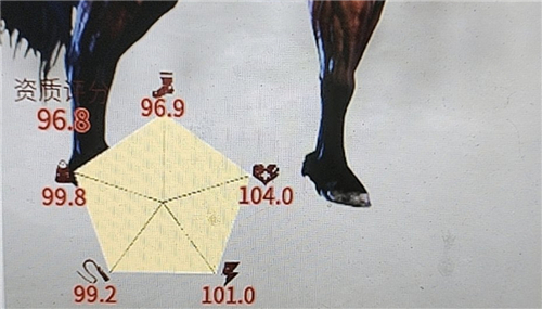 帝国神话入圣马怎么获得1