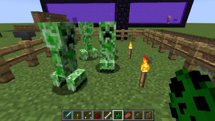 《我的世界》保护地形的方法1