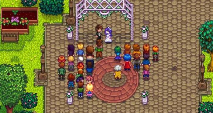 星露谷物语结婚对象哪个好点2