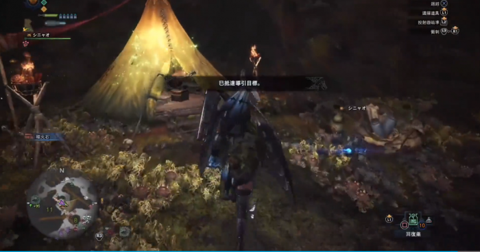 怪物猎人珊瑚结晶地的营地在哪1