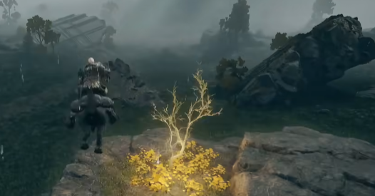 艾尔登法环开局职业怎么选1