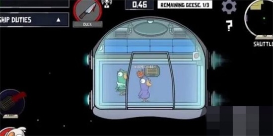 鹅鸭杀鸽子应该伪装什么动物呢1