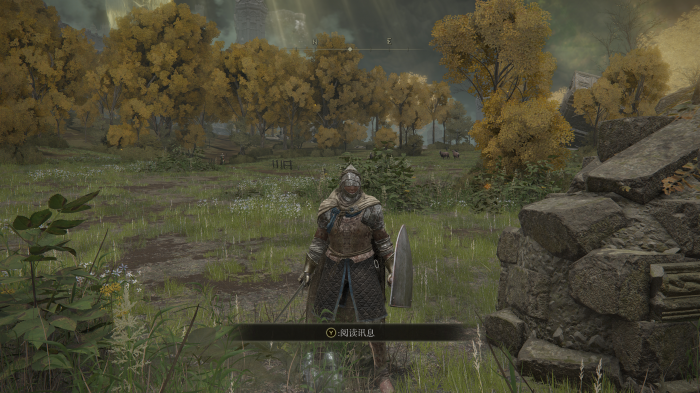 艾尔登法环缝合怪怎么打2