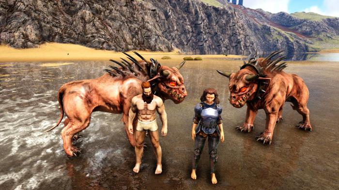 方舟生存进化前期怎么玩2