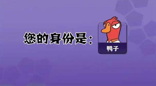 鹅鸭杀有什么职业1