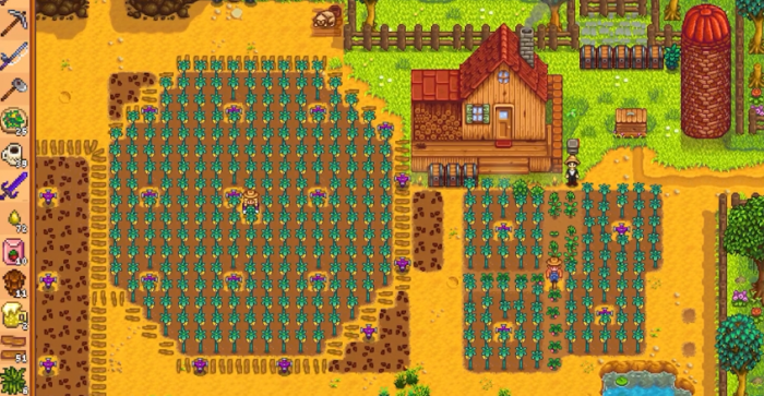 星露谷物语夏天种什么3