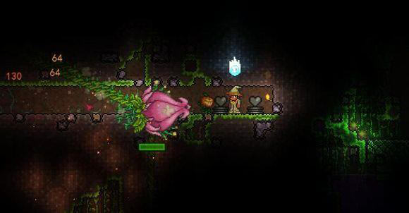 泰拉瑞亚花种怎么用1