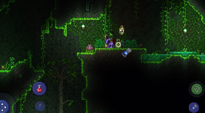 泰拉瑞亚丛林草种子怎么获得2