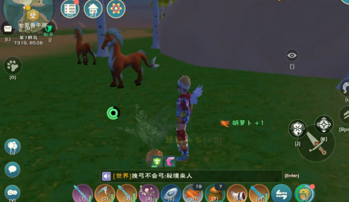 创造与魔法胡萝卜在哪里得1