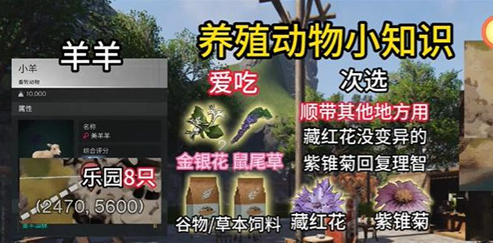 逆水寒手游三青鸟怎么打2