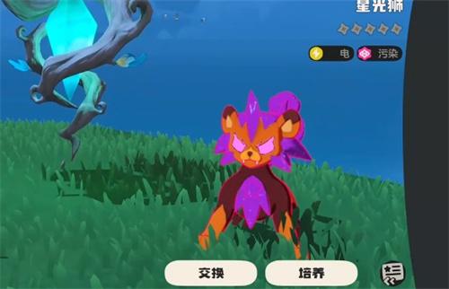 洛克王国世界宠物仓库怎么进入3