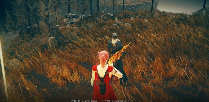 艾尔登法环安帕赫套装怎么拿2