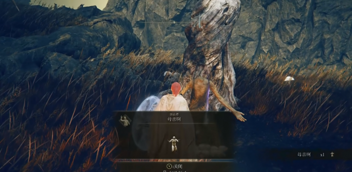 艾尔登法环金黄色编发在哪2