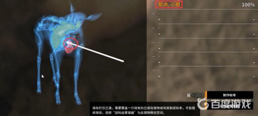 荒野的召唤如何击中心脏?3