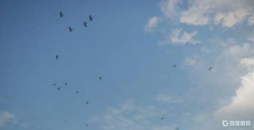 荒野的召唤黑雁怎么打?4