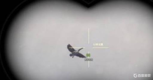 荒野的召唤黑雁怎么打?5