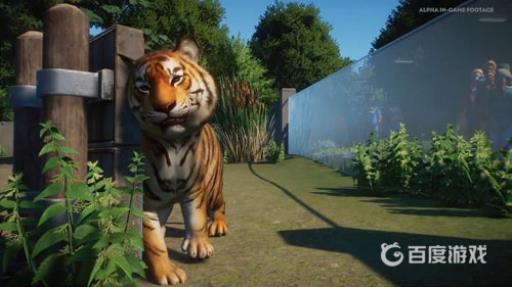 动物园之星值得购买吗?3