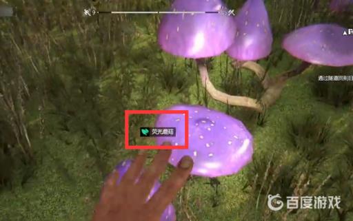 消逝的光芒荧光蘑菇在哪?4