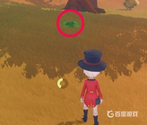 波西亚时光青虫哪里获取?1