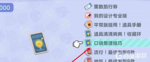 集合啦！动物森友会背包怎么扩大80格?4