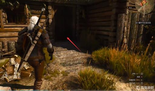 巫师3如何完成任务猎捕女巫?7