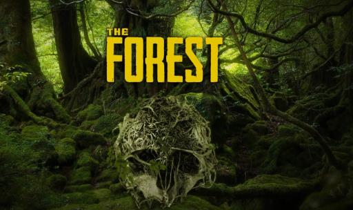 森林房主怎么给队友开控制台?1