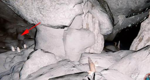 forest手电筒在哪?9