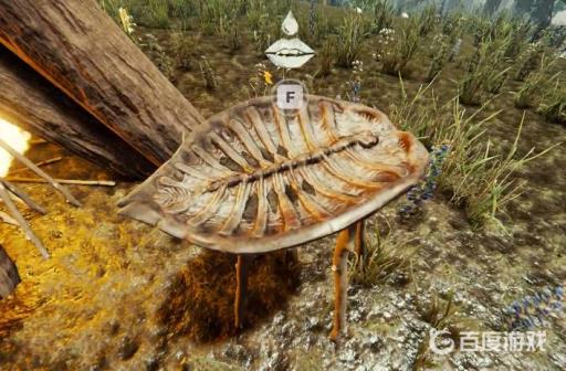 forest水怎么获得?3