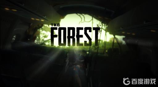 森林游戏多少g?1