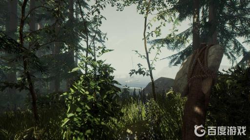 森林steam地图怎么获得?1