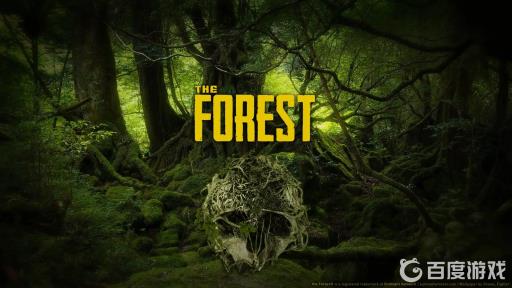 森林怎么丢骷髅头?1