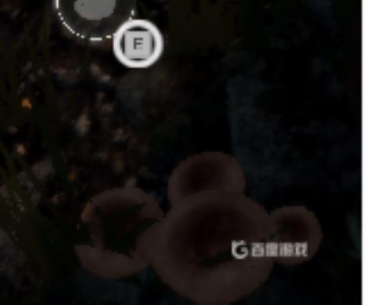 森林怎么做药?3