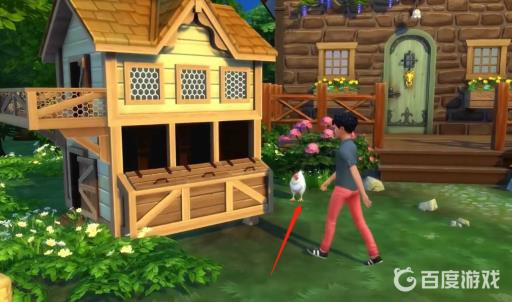 模拟人生4乡间生活怎么养鸡?2