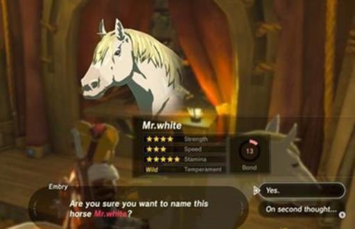 塞尔达公主的白马在哪?4