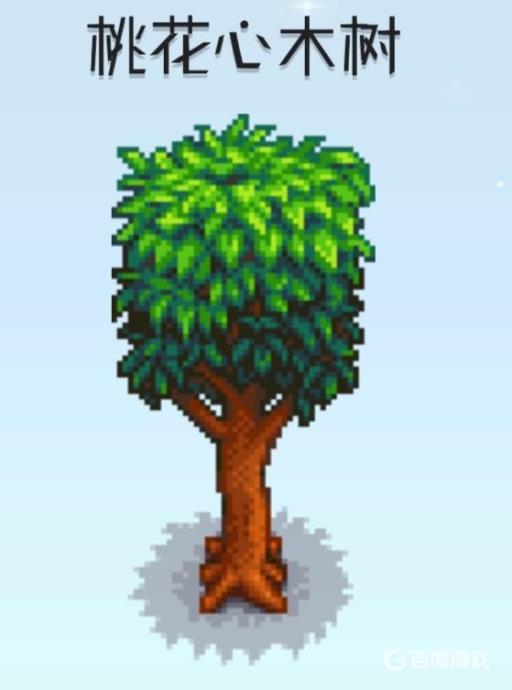 星露谷物语桃花心木长什么样?2