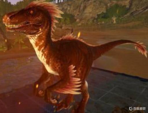 方舟如何大量刷肉?2