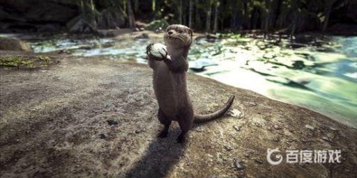 方舟生存进化水獭怎么采珍珠?2