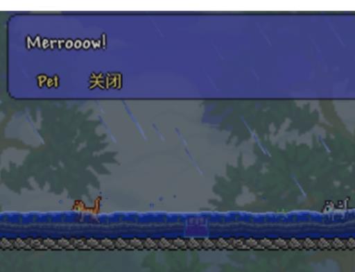 泰拉瑞亚新出的猫有什么用?4